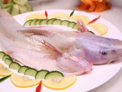 长江鮰鱼市场价格多少钱一斤,鮰鱼产地在哪里