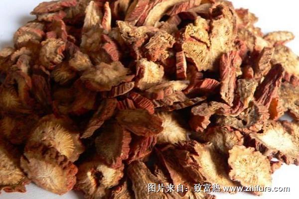 2018种丹参<a href=https://www.dadasou.com/news/93887.html target=_blank class=infotextkey>赚钱</a>吗？丹参<a href=https://www.dadasou.com/ny/zhongzhi/ target=_blank class=infotextkey>种植</a>的利润与投资成本及前景预测