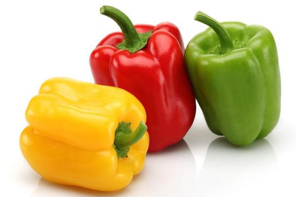 大辣椒价格多少钱一斤 大辣椒怎么种植
