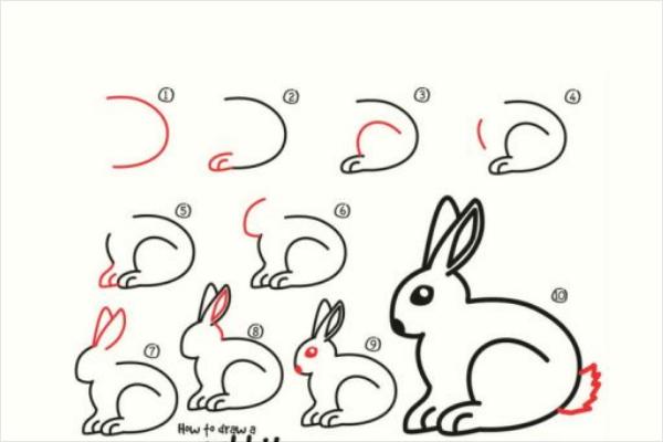 兔子简笔画怎么画步骤？兔子简笔画图片大全