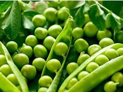 豌豆市场价格多少钱一斤,豌豆的做法