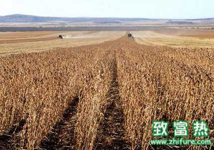 中鹤践行农业供给侧改革 优质大豆喜获丰收
