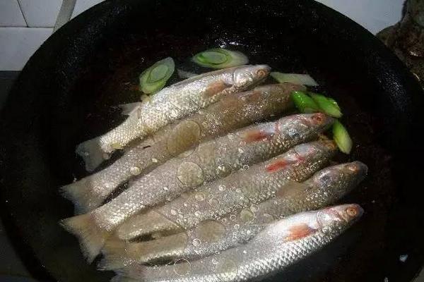 梭鱼市场价格多少钱一斤 梭鱼是淡水鱼还是海鱼