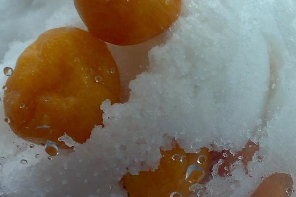 咸柑桔的功效与作用及禁忌 咸柑桔可以用青柠橘吗