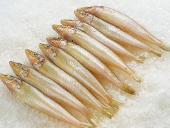 沙丁鱼功效与作用及禁忌,沙丁鱼的营养价值