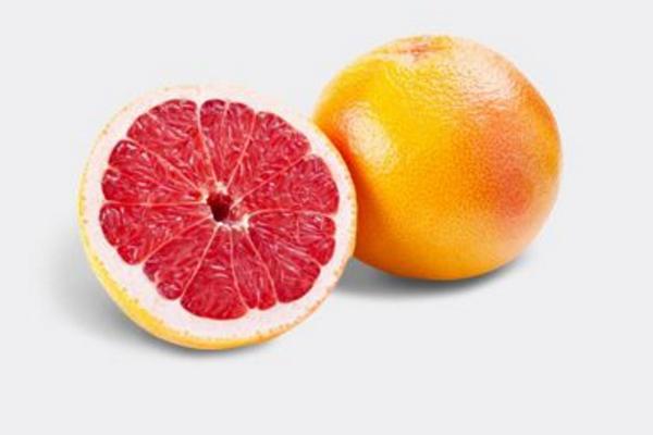 血橙树苗市场价格多少钱一棵 血橙都有哪些品种