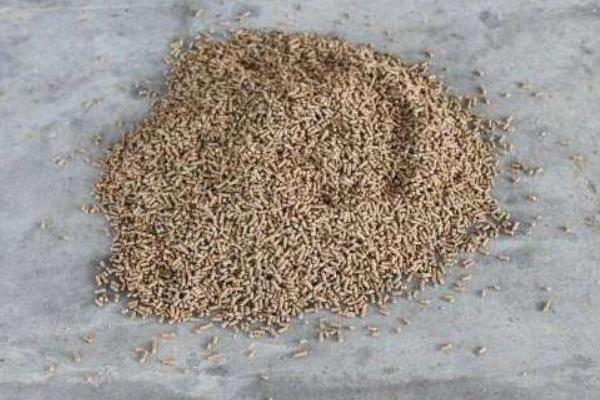 泥鳅饲料市场价格多少钱一吨 自制泥鳅饲料的制作方法