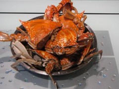 海蟹功效与作用及禁忌,海蟹营养价值