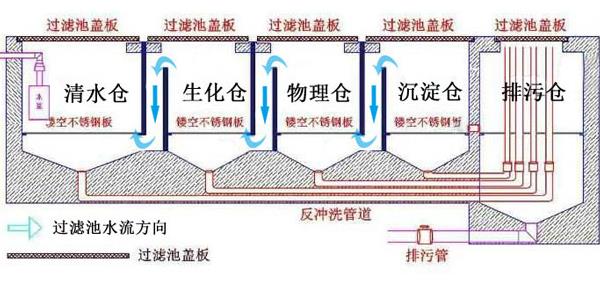 锦鲤鱼池过滤系统设计方案（图解） 锦鲤缺氧的表现