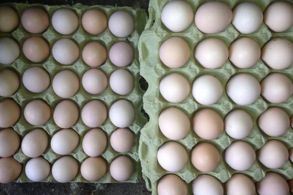 柴鸡蛋市场价格多少钱一斤 柴鸡蛋的功效作用