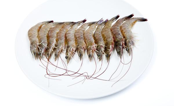 基围虾市场价格多少钱一斤 基围虾几月份上市