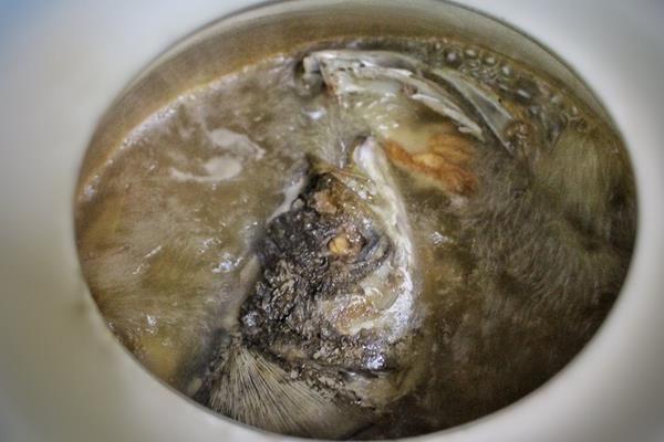 川芎白芷天麻鱼头汤的功效与作用及做法 川芎白芷天麻炖鱼头的禁忌