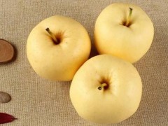 黄元帅苹果功效与作用及禁忌,黄元帅苹果的营养