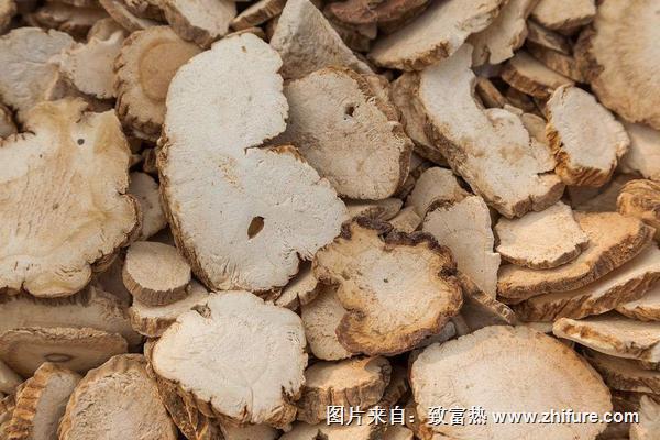 2018种白芷<a href=https://www.dadasou.com/news/93887.html target=_blank class=infotextkey>赚钱</a>吗？白芷<a href=https://www.dadasou.com/ny/zhongzhi/ target=_blank class=infotextkey>种植</a>的利润与投资成本及前景预测