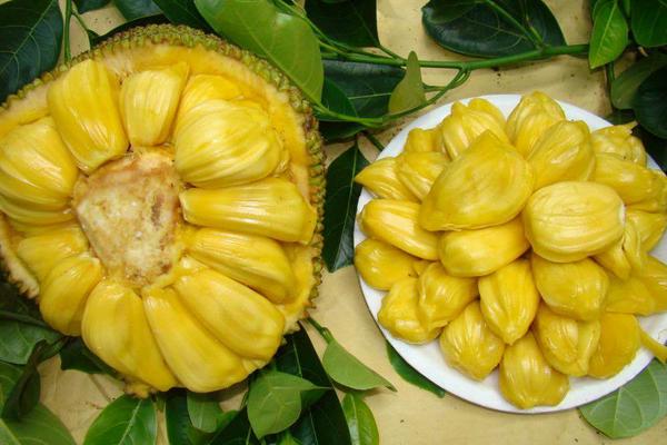 蜜多罗市场价格多少钱一斤 蜜多罗的籽可以吃吗