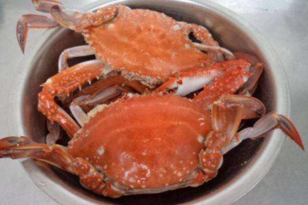 海蟹功效与作用及禁忌 海蟹营养价值