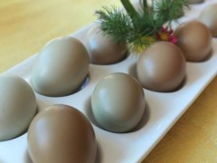 野鸭蛋功效与作用及禁忌,野鸭蛋的营养价值