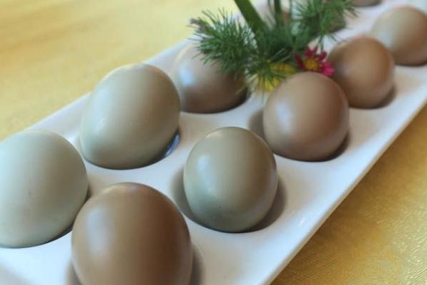 野鸭蛋功效与作用及禁忌 野鸭蛋的营养价值