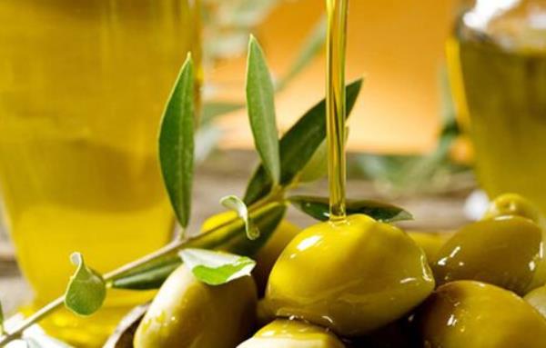 橄榄果市场价格多少钱一斤 吃橄榄有什么好处