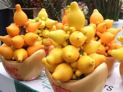 黄金果图片大全,黄金果怎么吃