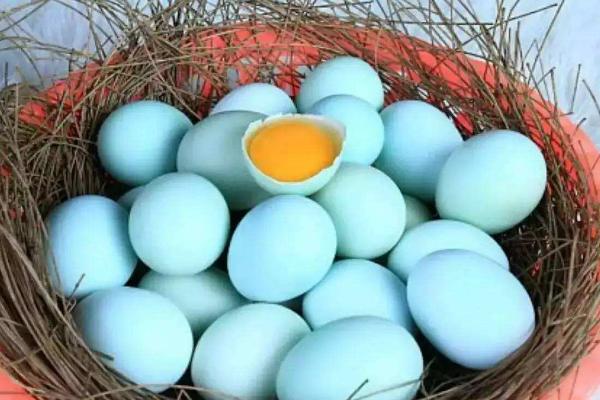 乌骨鸡蛋的功效与作用 乌骨鸡蛋的营养价值