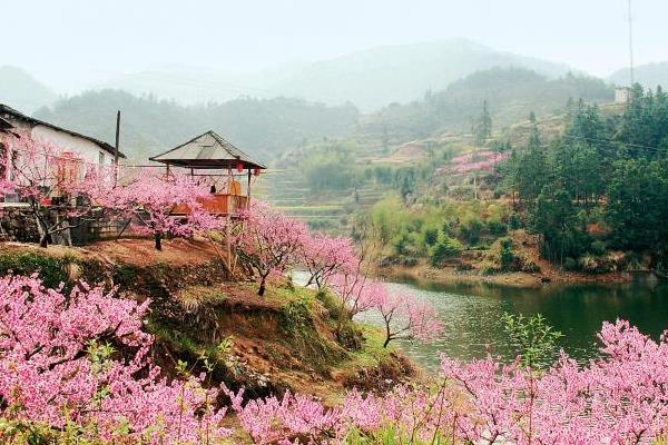 适合春季旅游的地方有哪些 国内春季自驾游好去处