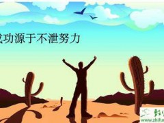 白手起家赚钱项目,无资本创业项目分享