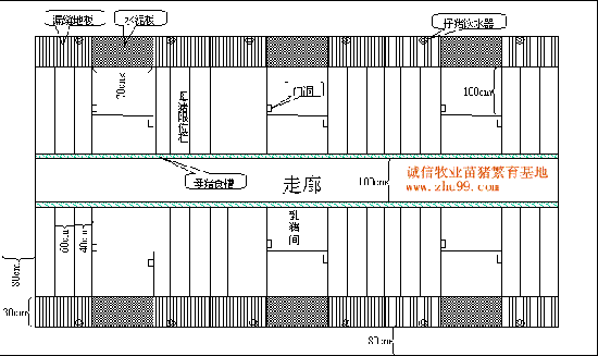 猪舍的平面设计