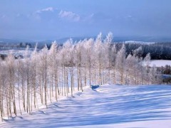 适合冬天旅游的国家有哪些（距离近价格便宜）,,适合冬季旅游的国内城