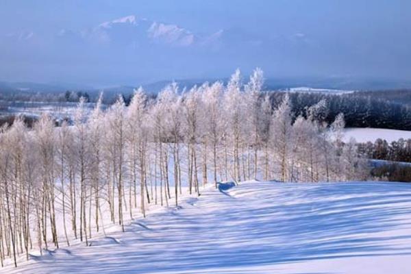 适合冬天旅游的国家有哪些（距离近价格便宜） 适合冬季旅游的国内城市