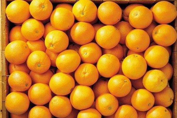 梦见橙子是什么意思 孕妇梦到吃橙子有什么预兆