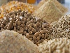 猪场什么行为会导致饲料浪费