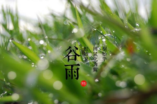 关于谷雨的谚语和诗句有哪些 谷雨的来源