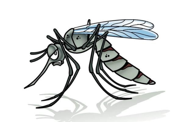 梦见蚊子是什么意思 梦到很多蚊子密密麻麻咬自己有什么预兆