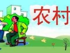 回乡创业做什么好?农村致富新点子告诉你