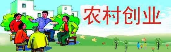 回乡创业做什么好？<a href=https://www.dadasou.com/zhifu/ target=_blank class=infotextkey><a href=https://www.dadasou.com/news/115933.html target=_blank class=infotextkey>农村</a></a><a href=https://www.dadasou.com/zhifu/ target=_blank class=infotextkey>致富</a>新点子告诉你