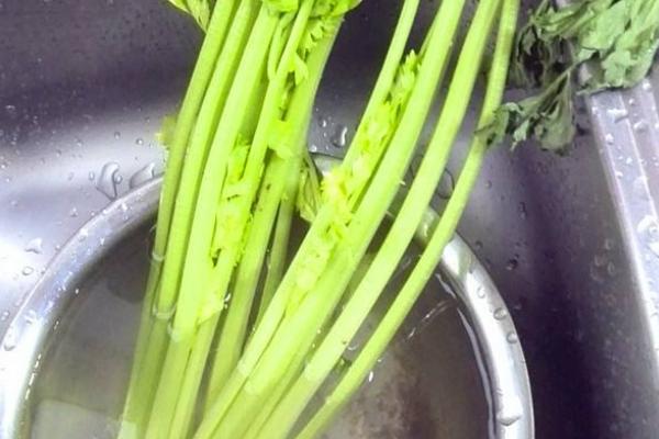 野菜山芹的采摘和清洗方法 山芹什么季节有（几月份）