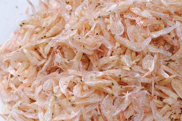 虾米的功效与作用及禁忌 虾米的营养价值
