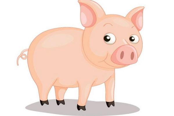 属猪的是什么性格 属猪的幸运数字是多少