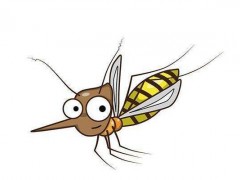 梦见蚊子是什么意思,梦到很多蚊子密密麻麻咬自己有什么预兆