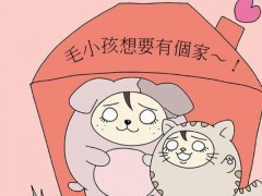 梦见领养小孩是什么意思,梦到收养小孩子有什么预兆