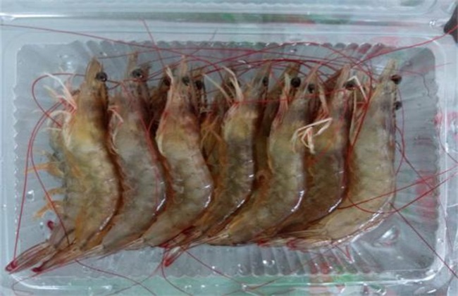 南美白对虾 饲养管理 方法