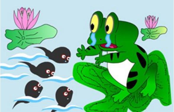 梦见青蛙是什么意思 女人梦到青蛙跳到自己身上有什么预兆