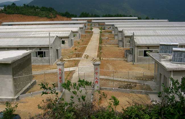 标准化养猪场建设