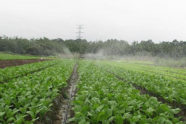 2019年预测农村市场最缺什么