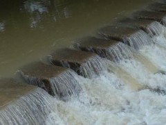 梦见下雨涨水是什么意思,梦到下雨路面涨水特别大有什么预兆