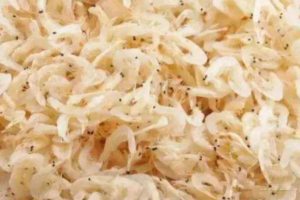 虾米的功效与作用及禁忌 虾米的营养价值