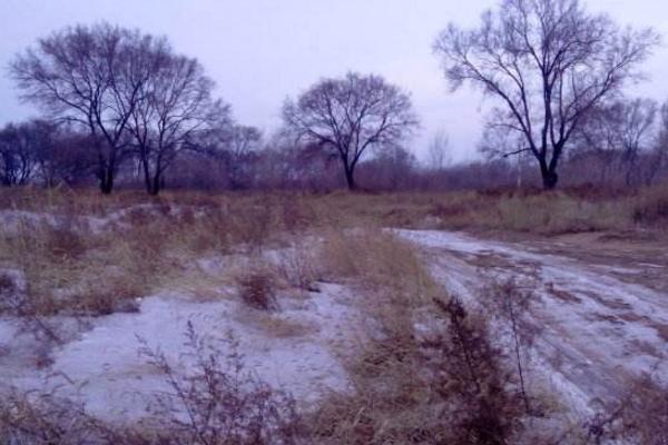 梦见荒野地是什么意思 梦到一片荒凉的地方有什么预兆