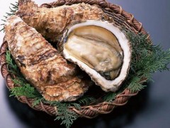 男人吃牡蛎的功效与作用,牡蛎能补肾吗