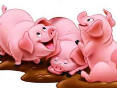 属猪的是什么性格,属猪的幸运数字是多少